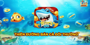 Ban-ca-5D-doi-thuong-1-min