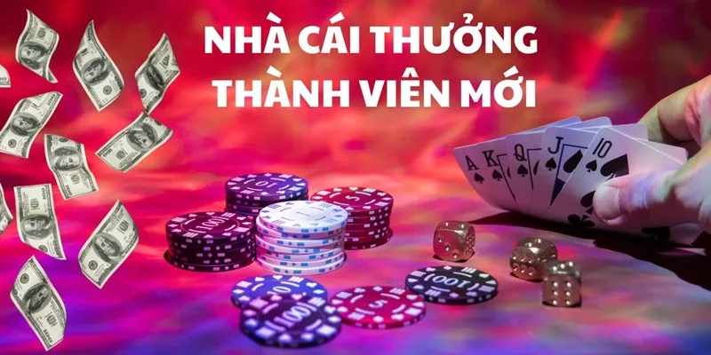 Sân chơi này có rất nhiều ưu đãi siêu hấp dẫn